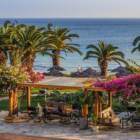 Alion 5* Agia Napa