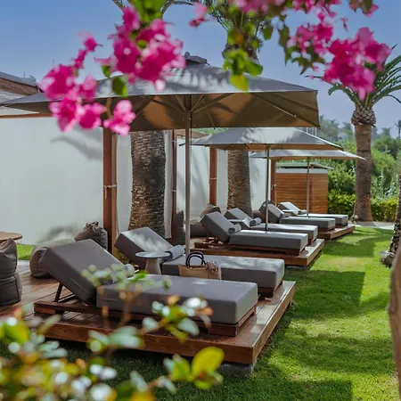 Alion Hotel